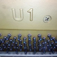 Used, Yamaha, U1