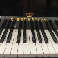 Gebruikte, C. Bechstein, A 192 (M/P 192)