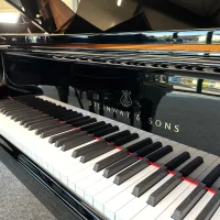 Occasion, Steinway & Sons, A-188