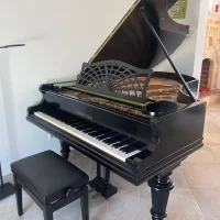 Używany, Bechstein, B 208 (A 208)