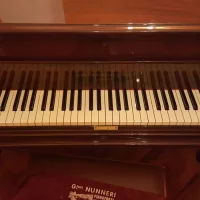 Usato, Broadwood, Baby Grand (141)