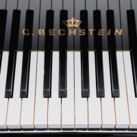 Używany, C. Bechstein, A 192 (M/P 192)