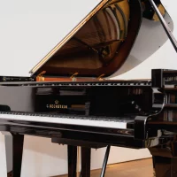 Används, C. Bechstein, A 192 (M/P 192)