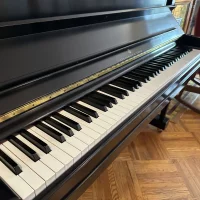 Occasion, Steinway & Sons, K-132 (52)