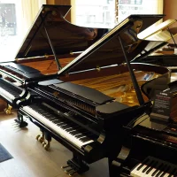 C. Bechstein C-234 new master grand piano 234 cm 