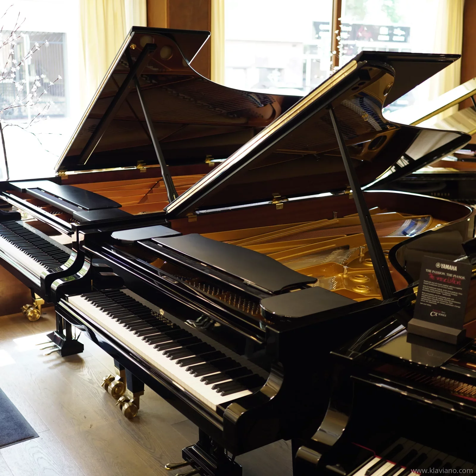 C. Bechstein C-234 nouveau piano maître 234 cm