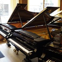 C. Bechstein C-234 new master grand piano 234 cm 