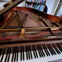 Usado, Steinway & Sons, A1