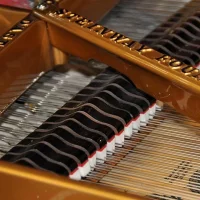 Usado, Steinway & Sons, D-274