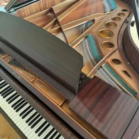 Gebruikte, Bosendorfer, 170