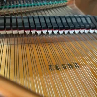 Usato, Bosendorfer, 170