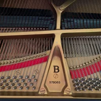 Używany, Steinway & Sons, B-211