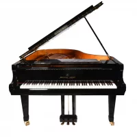 Used, Shigeru Kawai, SK-5