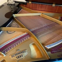 Gebruikte, Schimmel, I 168 Tradition