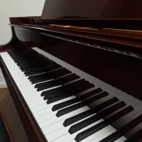 Gebruikte, Bosendorfer, 170