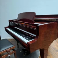 Usado, Bosendorfer, 170