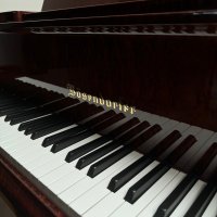 Usato, Bosendorfer, 170