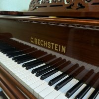 Gebruikte, C. Bechstein, IV 218