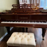 Gebruikte, C. Bechstein, Andere