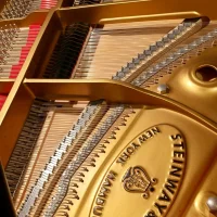 Gebruikte, Steinway & Sons, B-211