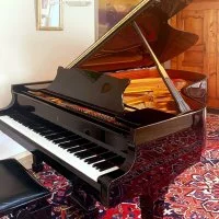 Używany, Steinway & Sons, B-211