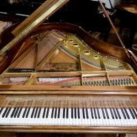 Używany, Steinway & Sons, A-188