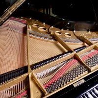 Usado, Steinway & Sons, O-180