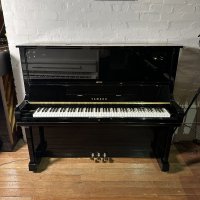 Gebruikte, Yamaha, U3