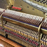 Używany, Steinway & Sons, R-138 (I)