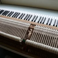 Used, C. Bechstein, B 203