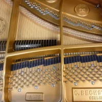 Gebruikte, C. Bechstein, A 175 (B 175)