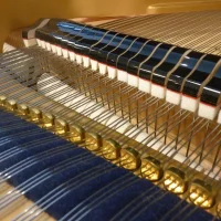 Gebruikte, C. Bechstein, A 175 (B 175)