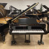 Används, Steinway & Sons, B-211