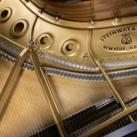 Używany, Steinway & Sons, B-211