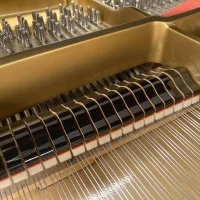 Används, Steinway & Sons, B-211