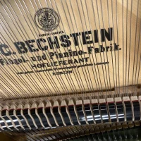 Gebruikte, C. Bechstein, A 192 (M/P 192)