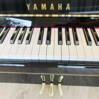 Används, Yamaha, b2