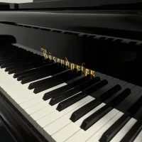 Gebraucht, Bösendorfer, 225