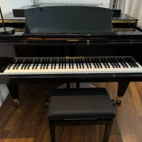 Usato, Bosendorfer, 214CS