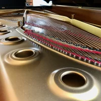 Används, Steinway & Sons, D-274