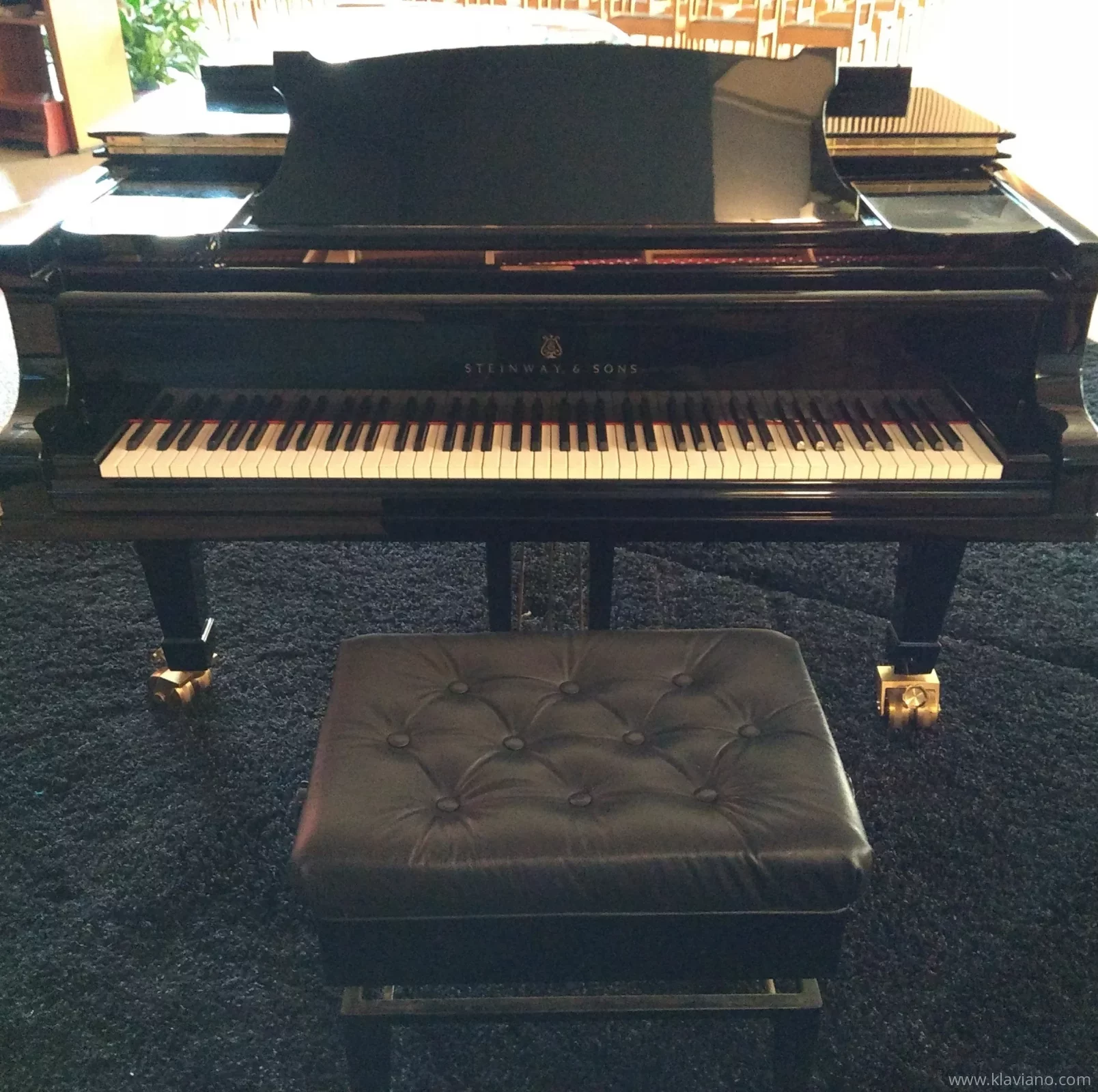 Nuevo, Steinway & Sons, D-274