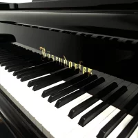 Occasion, Bosendorfer, 225