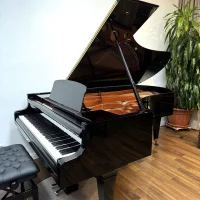 Used, Bosendorfer, 225