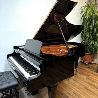 Usado, Bosendorfer, 225