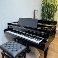 Occasion, Bosendorfer, 225