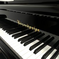 Gebruikte, Bosendorfer, Andere