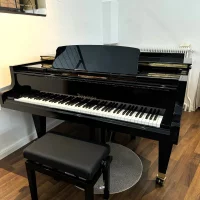 Used, Bosendorfer, Other