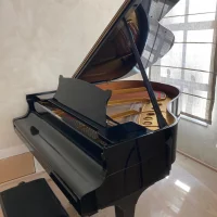 Usado, Steinway & Sons, S-155