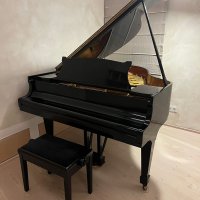 Usato, Steinway & Sons, S-155