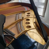 Usato, Steinway & Sons, S-155